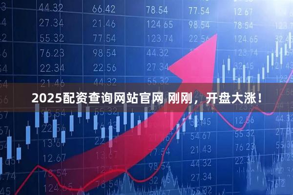 2025配资查询网站官网 刚刚，开盘大涨！