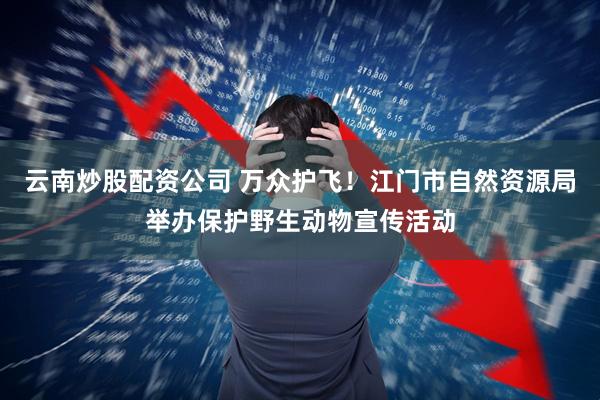 云南炒股配资公司 万众护飞！江门市自然资源局举办保护野生动物宣传活动