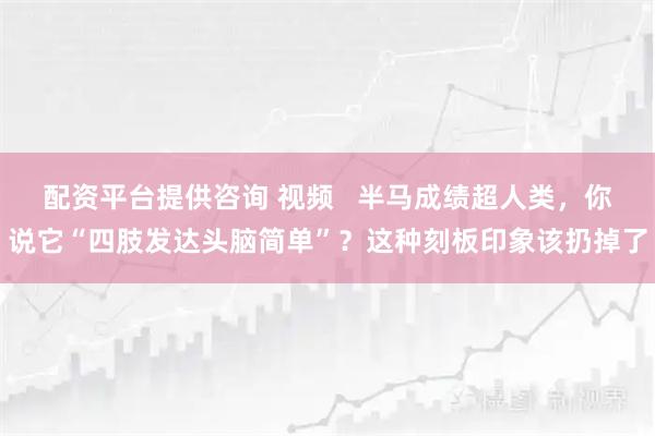 配资平台提供咨询 视频   半马成绩超人类，你说它“四肢发达头脑简单”？这种刻板印象该扔掉了